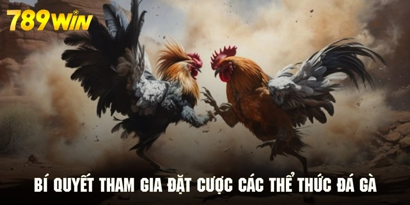 Kinh nghiệm đặt cược tham gia đá gà online hiệu quả