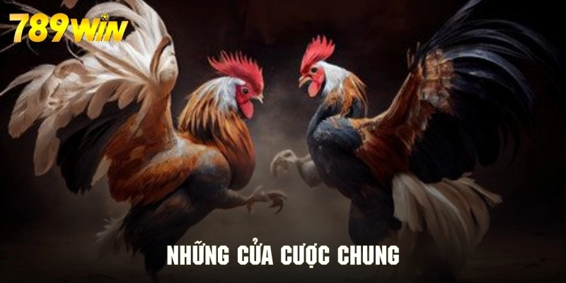 Những cửa chính khi tham gia đặt cược đá gà 789WIN