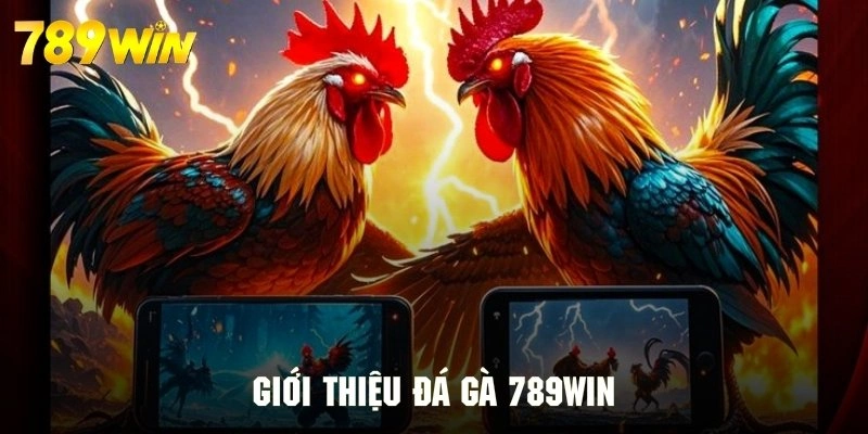 Tổng quan sảnh giải trí đá gà cuốn hút của 789WIN