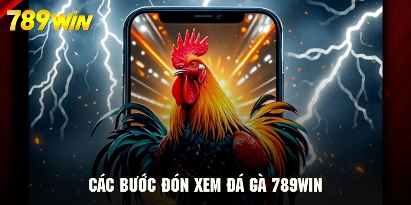 Hướng dẫn quy trình chiêm ngưỡng đá gà và cá cược tại 789WIN