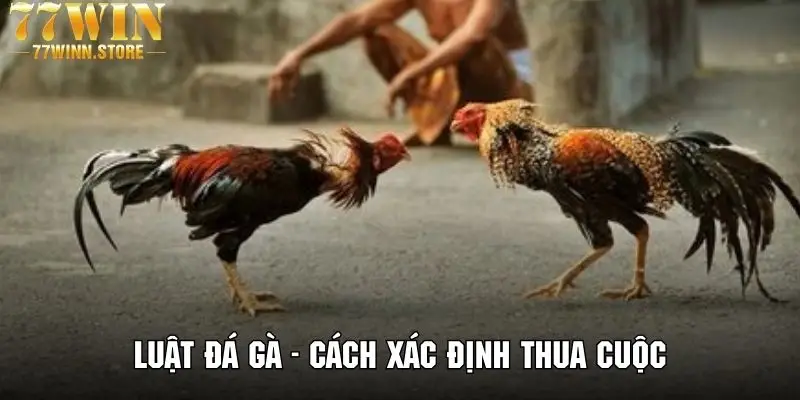 Nắm rõ các yếu tố để xác định một chiến kê thua cuộc trong trận đấu
