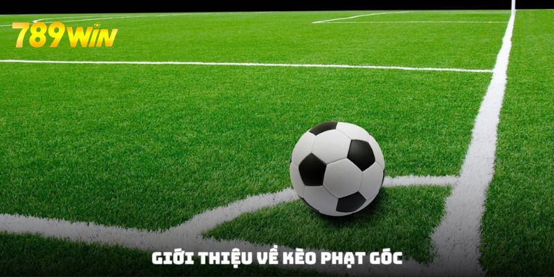 Tìm hiểu kèo phạt góc cho newbie